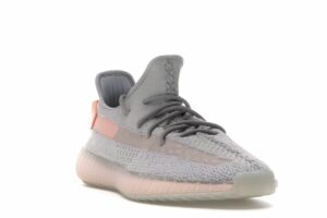 Adidas Yeezy Boost 350 V2 Static True Form (45-47)